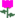 وردة زهرية